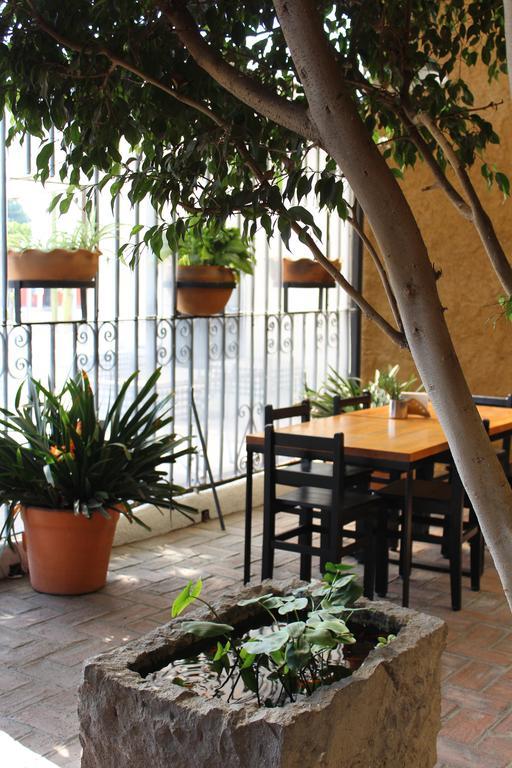Hotel Rustiko Oaxaca Dış mekan fotoğraf